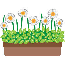 Flowers Bloom And Thrive In Pots Icon