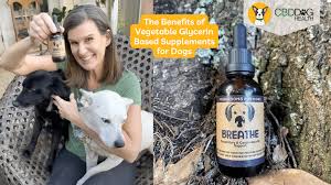 Is Vegetable Glycerin Safe For Dogs
