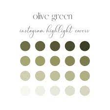 Olive Green Instagram Highlight Cover