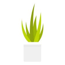 Succulent Home Plant Vector Icon