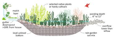 Build A Rain Garden 12 000 Rain Gardens