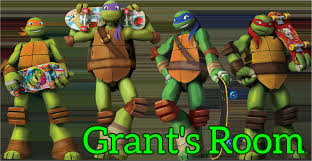 Teenage Mutant Ninja Turtles Name