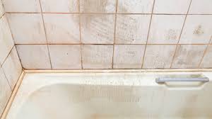 Is Pink Mold In Shower Dangerous Mold