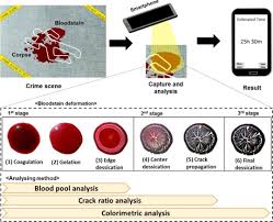 Crime Clock Ytical Studies For