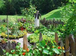 Vegetable Garden Fence Ideas