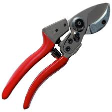 Heavy Duty Forged Anvil Pruner