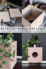 Cat Houses Indoor Cat House Diy