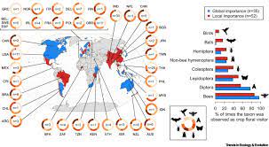 Bee And Non Bee Pollinator Importance