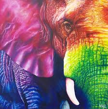 Colorful Elephant Painting By Paulina