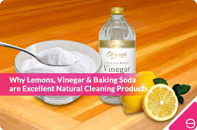 Why Lemons Vinegar Baking Soda Are