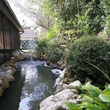 Backyard Pond Or Waterfall In Your Garden