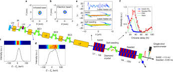 self seeded x ray free electron laser