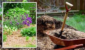 The 5 Best Types Of Mulch For Your