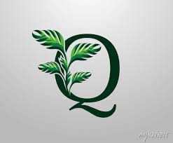 Letter Q Monstera Green Plant Icon
