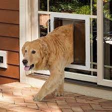 Sliding Glass Door With A Dog Door
