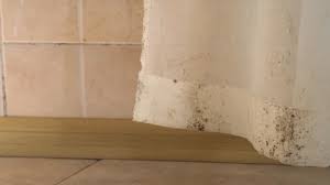 Mildew In Shower Curtains Toxic Black