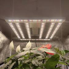 Led Grow Lights In Basement Grow Rooms