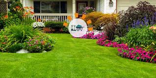 How To Redo Your Landscaping From