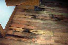 My Hardwood Flooring After Water Damage