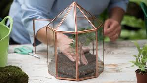 Plant A Terrarium Glass Terrariums