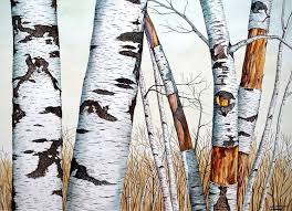 Wild Birch Trees In The Forest Painting