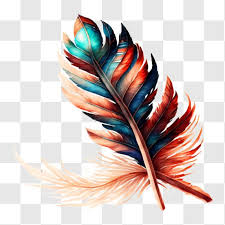 Colorful Stylized Feather With
