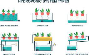 Hydroponic Vector Images Browse 23