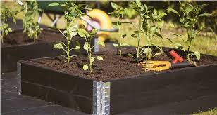 Raised Beds Sustainable Diy Garden