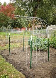 Free Trellis Plan Вегетарианские сады