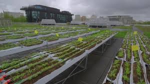 Paris Green Roof Garden For Rooftop