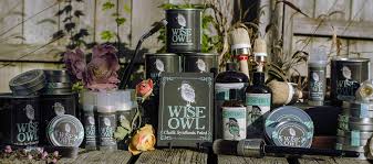 Wise Owl Paint