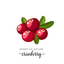 Cranberry Vector Images Browse 24 146
