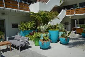 Growing Trees In Pots