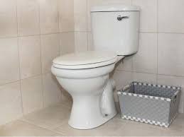 Ctm South Africa Buy Toilets
