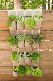 Outdoor Herb Garden Ideas The Idea Room