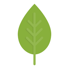 Green Leaf Plant Spring Icon