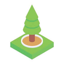 Conifer Tree In Isometric Style Icon
