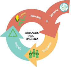 Bacteria For Bioplastics Progress