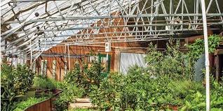 Building Your Own Greenhouse