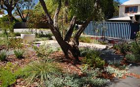 Garden Design Planting Perth