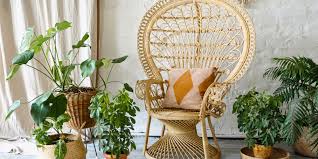 New Plant Trends For Interior Designs
