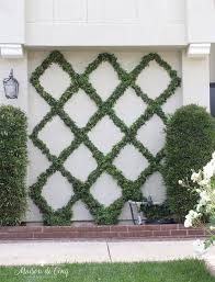 How To Make A Diamond Pattern Espalier