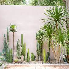 Small Cactus Garden Garden Design