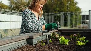 Raised Garden Beds Stock Footage