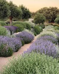 12 Low Maintenance Garden Border Ideas