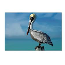 Fine Art Pelican By Mike Jones Photo