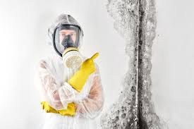 Mold Removal And Mold Remediation