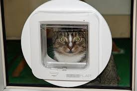 Fitting A Cat Flap To Your External Doors
