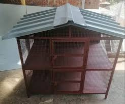 En Birds Hen House At Rs 11000 In