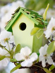 6 Easy Diy Free Bird House Plans
